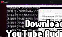 Featured image of post Download YouTube Audio