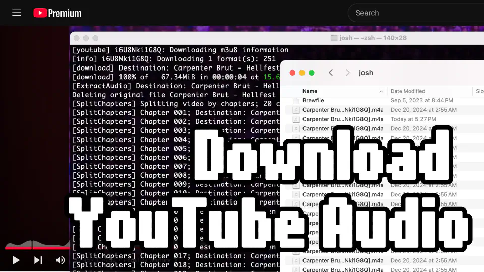 Featured image of post Download YouTube Audio